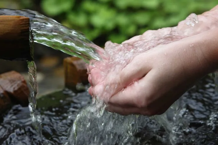 The Journey of Spring Water- From Source to Bottle