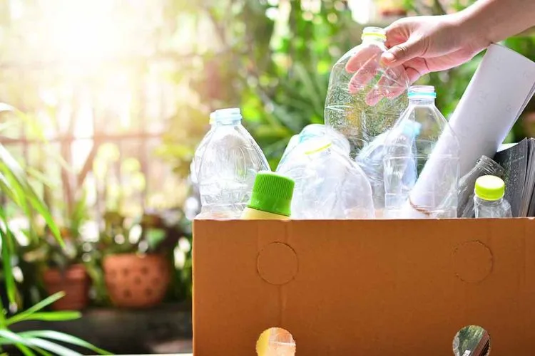 Preparing Water Bottles for Recycling