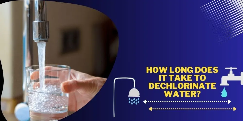 How Long Does It Take to Dechlorinate Water