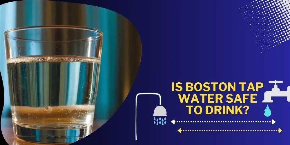 Is Boston Tap Water Safe to Drink