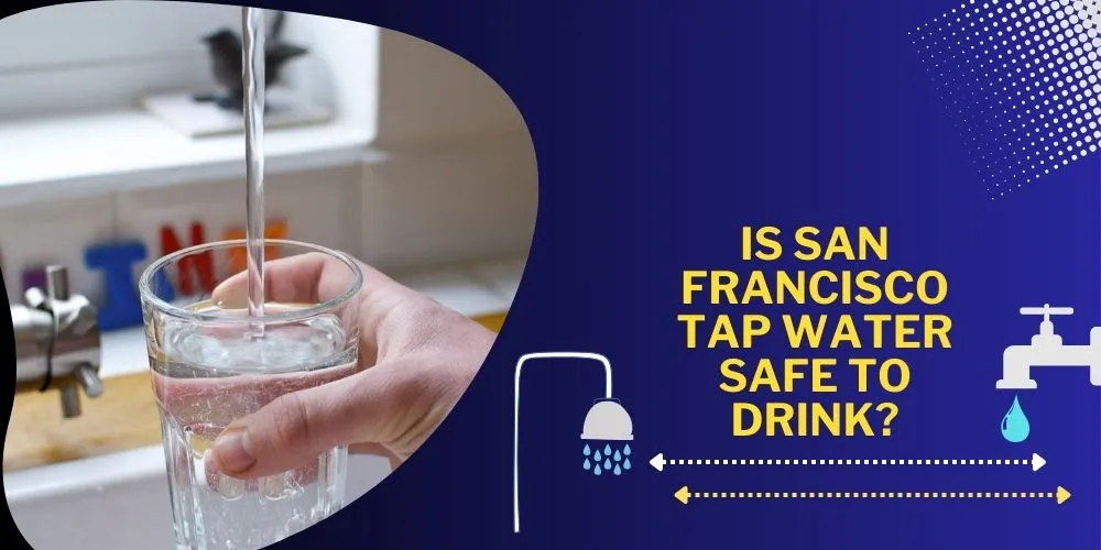 Is San Francisco Tap Water Safe to Drink