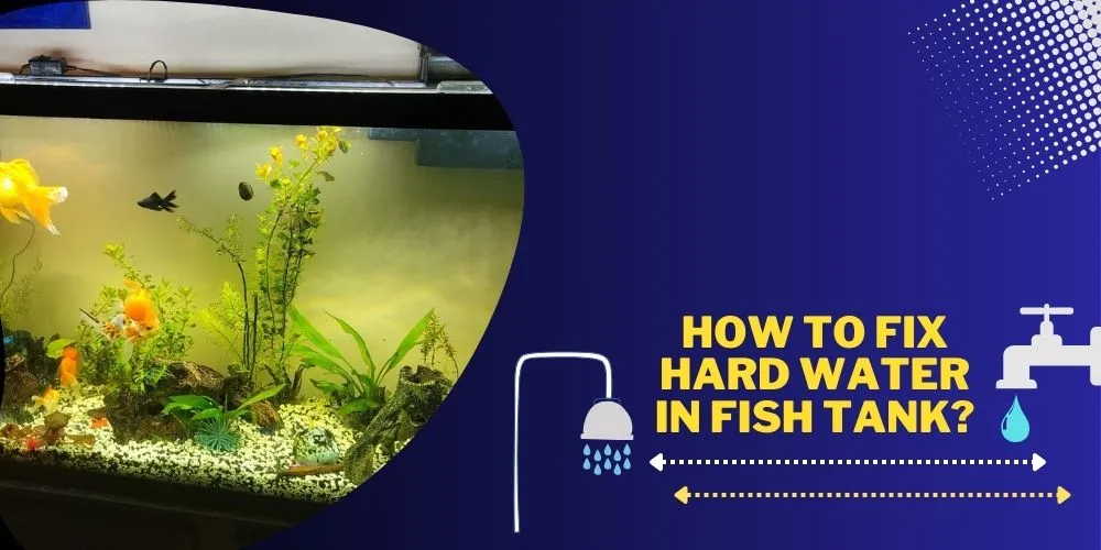 How To Fix Hard Water In Fish Tank