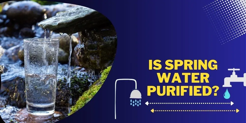 Is Spring Water Purified